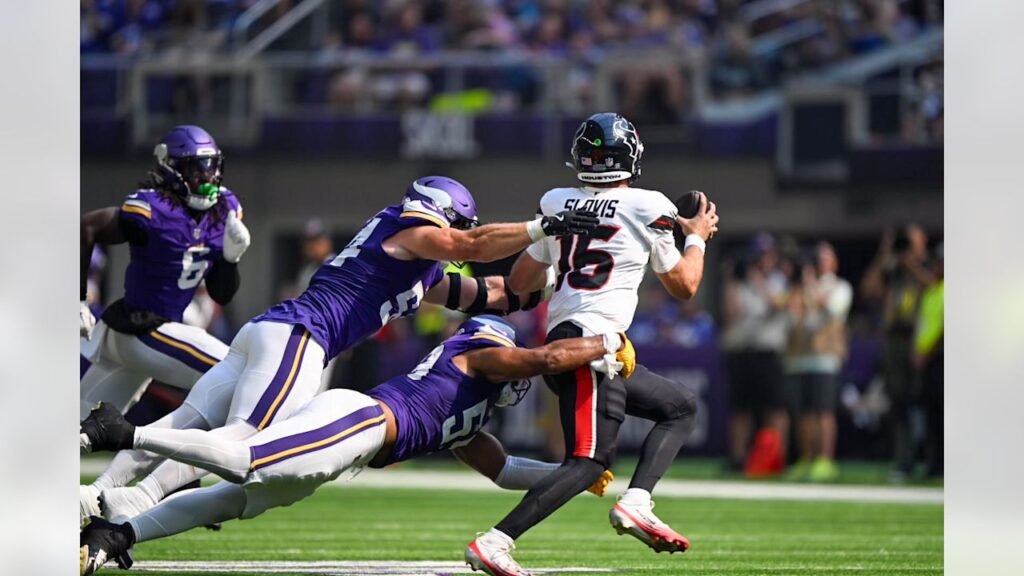 minnesota vikings vs houston texans match player stats